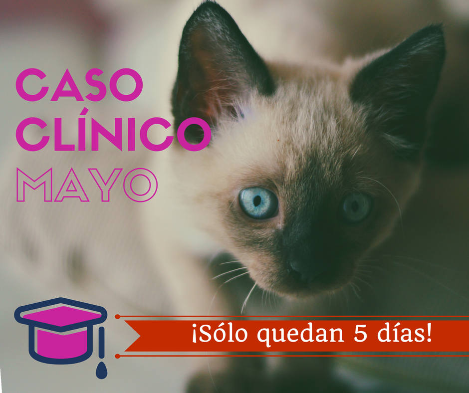 Respuestas del caso clínico de la SVAMC en mayo